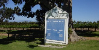 vines surrounding the cricket pitch