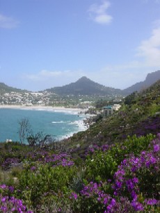 Hout Bay