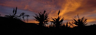 Shamwari - 5:00am !!!