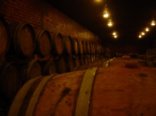 the cellar at Mont du Toit - dark and damp