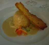 starter #1