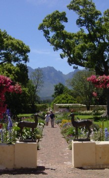 the grounds of Vergelegen